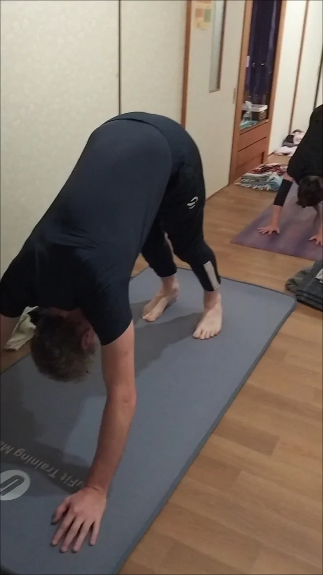 🌞 ハタヨガ・初級中級クラスの様子
いつも練習を重ねてこられた皆さま。
ひとつひとつの動きが本当にしなやかで、美しくて、見ているだけで感動します。  基礎の太陽礼拝と立ちポーズを大切にしていくことで、
そのうち憧れの難しいポーズも、自然とできるようになるはず🌿  クラスを通して、私自身もたくさんの元気とインスピレーションを頂いています。
ありがとうございます💗  #ハタヨガ #ヨガ亀岡 #中級ヨガ #アナハタアーユルヴェーダヨガ教室 #ヨガのある暮らし #ヨガライフ #アーユルヴェーダのある暮らし #少人数ヨガ #セルフケア #心と体を整える #ヨガ好きな人と繋がりたい
#AnahataAyurvedaYoga#HathaYoga #IntermediateYoga #YogaPractice #YogaInspiration #SmoothFlow #MindBodyBalance #YogaJourney #YogaLife #YogaCommunity #AyurvedaAndYoga #SelfCare #HolisticWellness #YogaForEveryone #YogaLove #SmallGroupYoga #AnahataAyurvedaYogaStudio