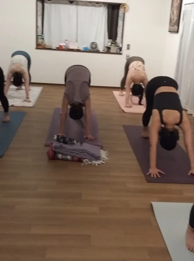 🌿 日々の練習に感謝を込めて
動画が多くなってきたので、3本ずつシェアしていきます😊
毎回、本当に素晴らしい練習をされている皆さまから
たくさんの元気とインスピレーションを頂いています✨  季節の変わり目、クラスの後はどうぞあたたかくお過ごしください☕🍂  #ヨガ亀岡 #ヨガ京都 #アナハタアーユルヴェーダヨガ教室 #ハタヨガ #リラックスヨガ #ヨガのある暮らし #心と体を整える #少人数ヨガ #セルフケア
#HathaYoga #YogaPractice #YogaInspiration #IntermediateYoga #YogaJourney #YogaLife #SelfCare #MindBodyBalance #HolisticWellness #AnahataAyurvedaYogaStudio
