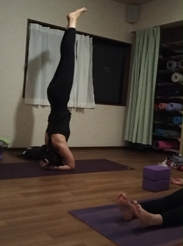 🌿 今日のクラス風景
皆さまの練習風景、今回もビデオ3本まとめてアップします🎥✨  ひとつひとつの動きがとても力強く、
同時に深く心地よさそうな呼吸が本当に最高でした。  その場のエネルギーに触れるだけで、私自身もたくさん元気をいただいています💛  クラスでの練習が、日々の暮らしを支えるエネルギーになりますように💛  #ヨガ亀岡 #ヨガ京都 #アナハタアーユルヴェーダヨガ教室 #ヨガのある暮らし #アーユルヴェーダ #ドーシャバランス #セルフケア #心と体を整える #季節の養生#HathaYoga #Ayurveda #DoshaBalance #YogaPractice #SeasonalSelfCare #MindBodyBalance #HolisticWellness #YogaLife #YogaCommunity #AnahataAyurvedaYogaStudio