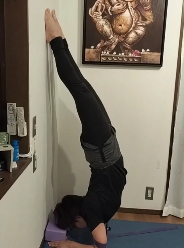 🪷 Pincha Mayurasana（ピンチャ・マユーラーサナ）に挑戦中！
少し難しいポーズですが、
ストラップとブロックを使って正しいアライメントを理解すれば、
誰にでもチャレンジできるアームバランスです💪🌿  焦らず、呼吸を深めながら一歩ずつ。
自分のペースで続けていくことで、
少しずつ安定感や軽さを感じられるようになります✨  朝晩は少し冷える季節になってきましたね。
体調に気をつけながら、心地よい秋のヨガを楽しみましょう🍁  #ピンチャマユーラーサナ #ヨガ亀岡 #ヨガ京都 #アナハタアーユルヴェーダヨガ教室 #ハタヨガ #ヨガ練習 #ヨガのある暮らし #少人数ヨガ #セルフケア #心と体を整える#PinchaMayurasana #ForearmStand #YogaPractice #YogaJourney #HathaYoga #AyurvedaAndYoga #MindBodyBalance #SelfCare #YogaLife #AnahataAyurvedaYogaStudio