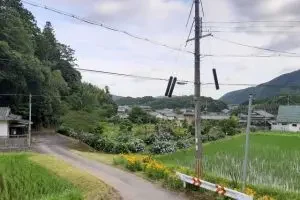 スタジオの窓から見えるききょうの里です。